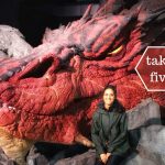 things to do in Wellington when it rains