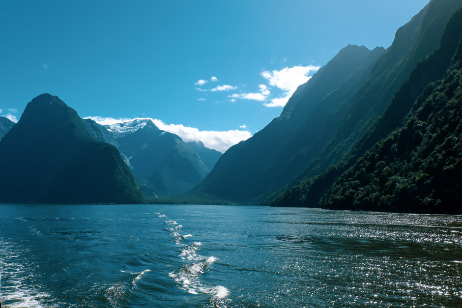 view of the fiords in Milford Sound from the cruise boat